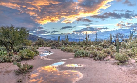 Tucson International Airport - All Information on Tucson International Airport (TUS)